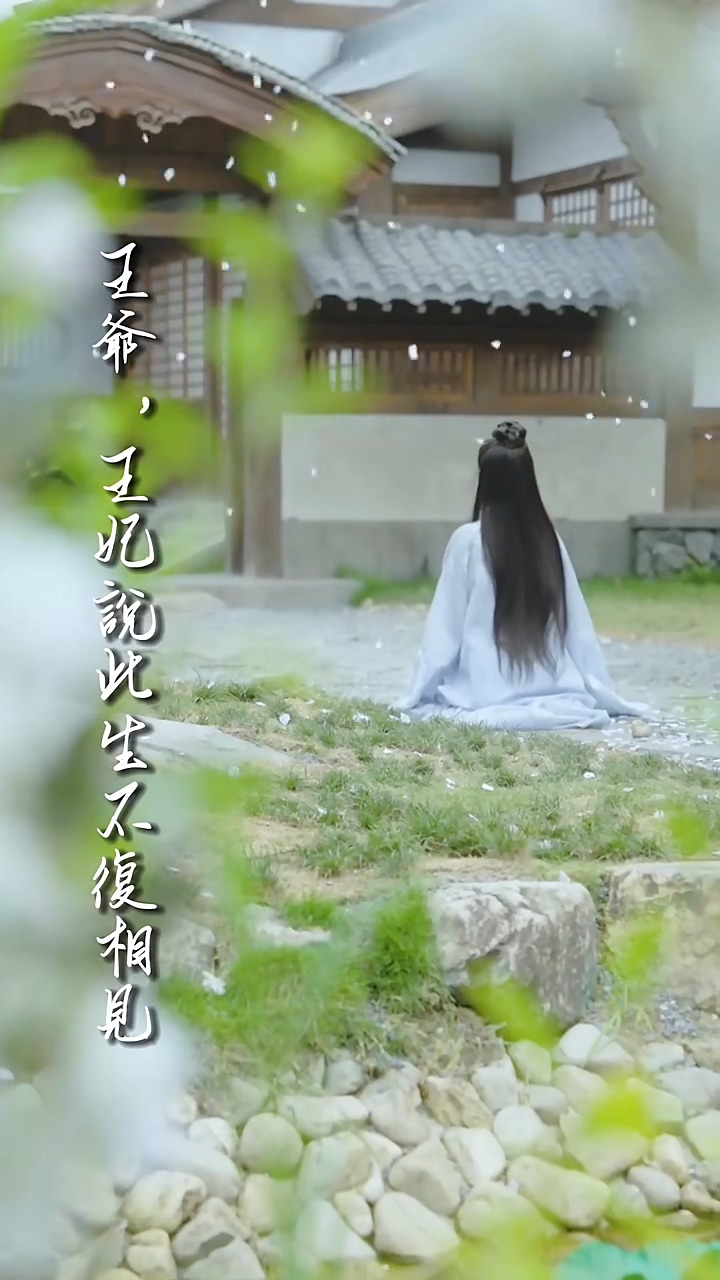 王爷，王妃说此生不复相见 第01集