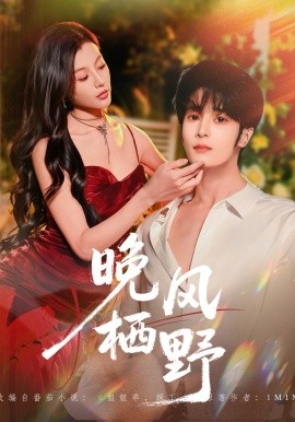 晚风栖野(全集)