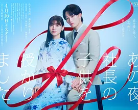 那一夜，我怀了社长的孩子